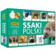 007752 ADAMIGO GRA SSAKI POLSKA