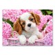 018185 CASTORLAND PUZZLE 180el SZCZENIAK W KWIATACH
