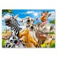 027552 CASTORLAND PUZZLE 260 EL AFRYKAŃSKIE SEFLIE