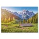 053360 CASTORLAND PUZZLE 500 EL LATO W ALPACH
