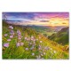 053681 CASTORLAND PUZZLE 500 EL DZWONKI O WSCHODZIE SŁOŃCA, USA
