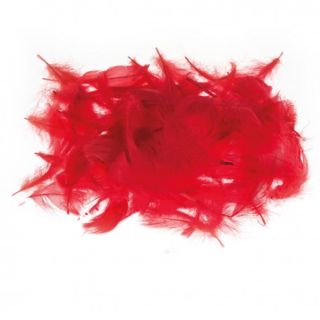 682710 PIÓRKA DEKORACYJNE CZERWONE 7 cm BREWIS