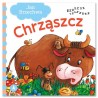 074598 S KSIĄŻECZKA CHRZĄSZCZ JB