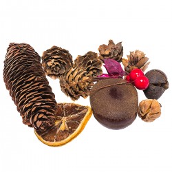 703748 SUSZ DEKORACYJNY v2 JESIEŃ 30-40g BREWIS