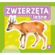 075885 S KSIĄŻECZKA ZWIERZĘTA LEŚNE - SARENKA