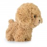 200142 MASKOTKA PLUSZAK PIES GOLDENDOODLE BRĄZOWY PLUSZOWY TEDDY PETS AURORA DAFFI
