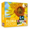 007851 ADAMIGO MEMORY - FLORA POLSKI