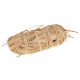 705711 RAFFIA 50g KOLOR NATURALNY JASNY BREWIS