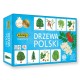 007882 ADAMIGO MEMORY - DRZEWA POLSKI
