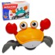 787729 KRAB KOLOROWY W PUDEŁKU 20 CM NA BATERIE MIX KOLORÓW PEGAZ