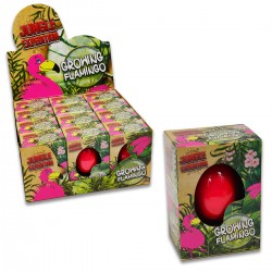 503645 JAJO ROSNĄCE FLAMING WYKLUWA SIĘ