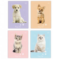 348494 ZESZYT W KRATKĘ DO SŁÓWEK A6 32 ZWIERZAKI INTERDRUK