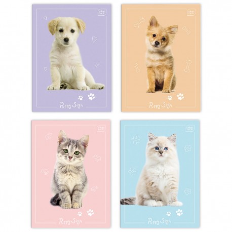 348494 ZESZYT W KRATKĘ DO SŁÓWEK A6 32 ZWIERZAKI INTERDRUK