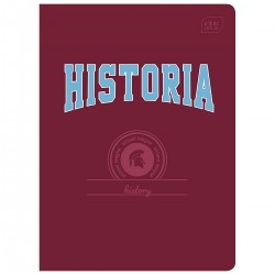 230133 ZESZYT W KRATKĘ HISTORIA A5 60
