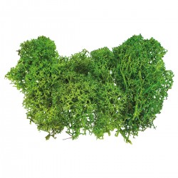 688941 MECH SZTUCZNY JASNY ZIELONY 10 g. BREWIS