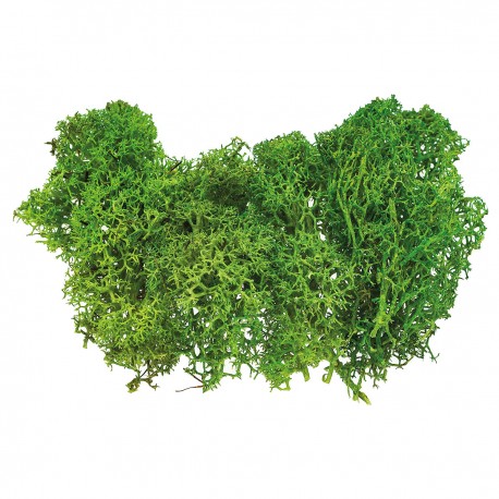 688941 MECH SZTUCZNY JASNY ZIELONY 10 g. BREWIS