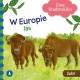 077490 KSIĄŻECZKA W EUROPIE LAS ŻUBR EWA STANDMULLER SKRZAT