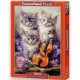 053988 CASTORLAND PUZZLE 500 EL MUZYCZNE KOTKI ZE SKRZYPCAMI