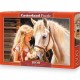 105205 CASTORLAND PUZZLE 1000 EL MÓJ PRZYJACIEL KOŃ