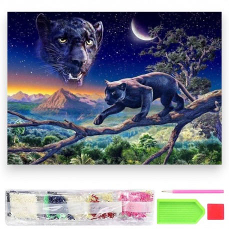 064127 DIAMENTOWA MOZAIKA 40x30 KOLOROWE OKO