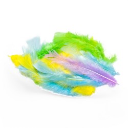 704813 PIÓRKA DEKORACYJNE MIX PASTELOWY 7 cm BREWIS