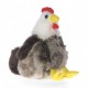 242387 DEEF ŚREDNI PLUSZAK PLUSZOWA KURA KURCZAK 22 cm
