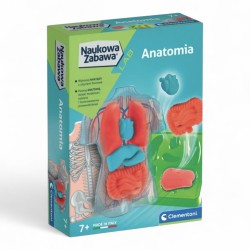 502523 CLEMENTONI ANATOMIA SQUISHY NAUKOWA ZABAWA