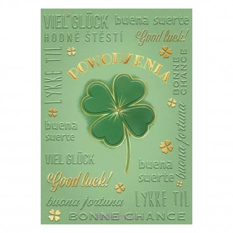 485833 KARNET A5 POWODZENIA - DUŻA KONICZYNA HENRY