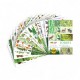 034398 HAPPY COLOR BLOK Z MOTYWAMI FOREST 16 ark. GDD