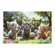 17412 TREFL PUZZLE 60 el TRZY KOCIAKI