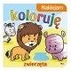 814942 KOLOROWANKA Z NAKLEJKAMI NAKLEJAM KOLORUJĘ ZWIERZĘTA MOREX