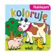814966 KOLOROWANKA Z NAKLEJKAMI NAKLEJAM KOLORUJĘ WIEŚ MOREX
