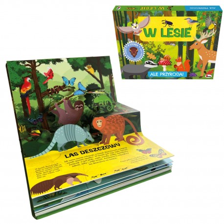 815505 ALE PRZYRODA W LESIE KARTONOWA KSIĄŻKA PRZESTRZENNA DLA DZIECI O LESIE I PRZYRODZIE MOREX