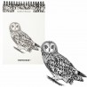 009908 Szkicownik A5 pion na spirali Sowa 60k z perforacją 120 gsm SZTUKA RODZINNA