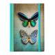 903085 NOTATNIK W LINIE A5 WINGS PARA MOTYLI MARKI NARCISSUS SZTUKA RODZINNA