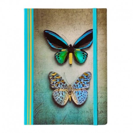903085 NOTATNIK W LINIE A5 WINGS PARA MOTYLI MARKI NARCISSUS SZTUKA RODZINNA