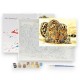 625570 MALOWANIE PO NUMERACH LAMPART ADAR