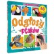 816816 ODGŁOSY PTAKÓW 60 DŹWIĘKÓW KSIĄŻKA DŹWIĘKOWA MOREX