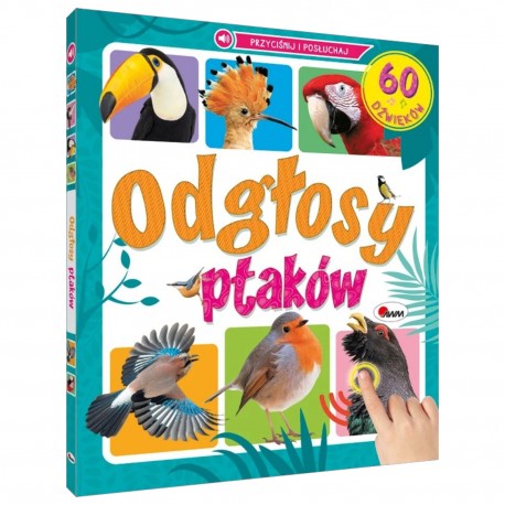 816816 ODGŁOSY PTAKÓW 60 DŹWIĘKÓW KSIĄŻKA DŹWIĘKOWA MOREX
