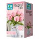 299810 BOUQUET STUDIO: TULIPANY STNUX