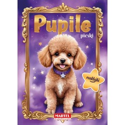 900621 KOLOROWANKA Z NAKLEJKAMI PUPILE PIESKI MARTEL