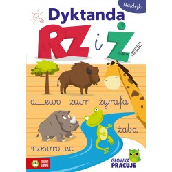 886138 GŁÓWKA PRACUJE. DYKTANDA Ó I U ZIELONA SOWA