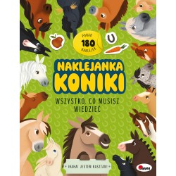 817394 UBIERANKI SPORT KSIĄŻKA Z NAKLEJKAMI MOREX