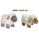 177568 SUN-DAY OWCA 2 ASST 25 CM