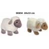 177568 SUN-DAY OWCA 2 ASST 25 CM