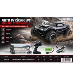 911394 AUTO WYŚCIGOWE ZDALNIE STEROWANE FHTOYS