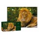 405029 PUZZLE 250 EL. WILD ANIMALS 6 LION INTERDRUK