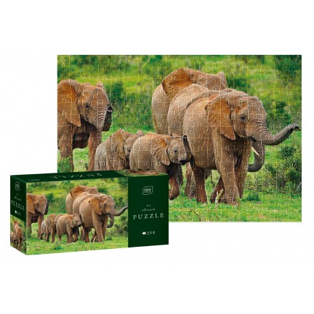 405029 PUZZLE 250 EL. WILD ANIMALS 6 LION INTERDRUK