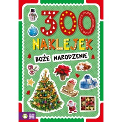 887678 KSIĄŻECZKA 160 NAKLEJEK ZIMA. ZIELONA SOWA