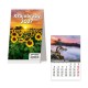 052611 KALENDARZ 2027 BIURKOWY MIESIĘCZNY PIONOWY KRAJOBRAZY SZTUKA RODZINNA